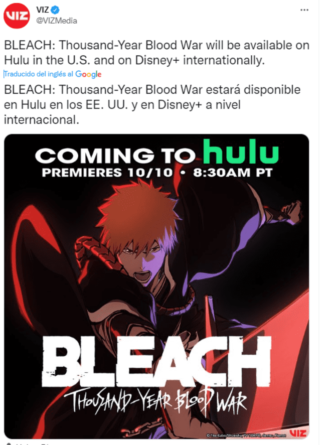 Bleach - Temporada final do anime segue indisponível na Disney+ para a  América Latina - AnimeNew