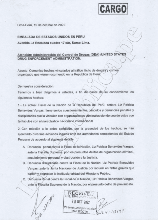 Documento ante la OEA por Patricia Benavides