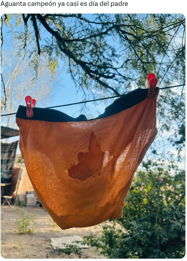 Día del Padre 2025 | memes | 15 de junio | dia del padre peru 