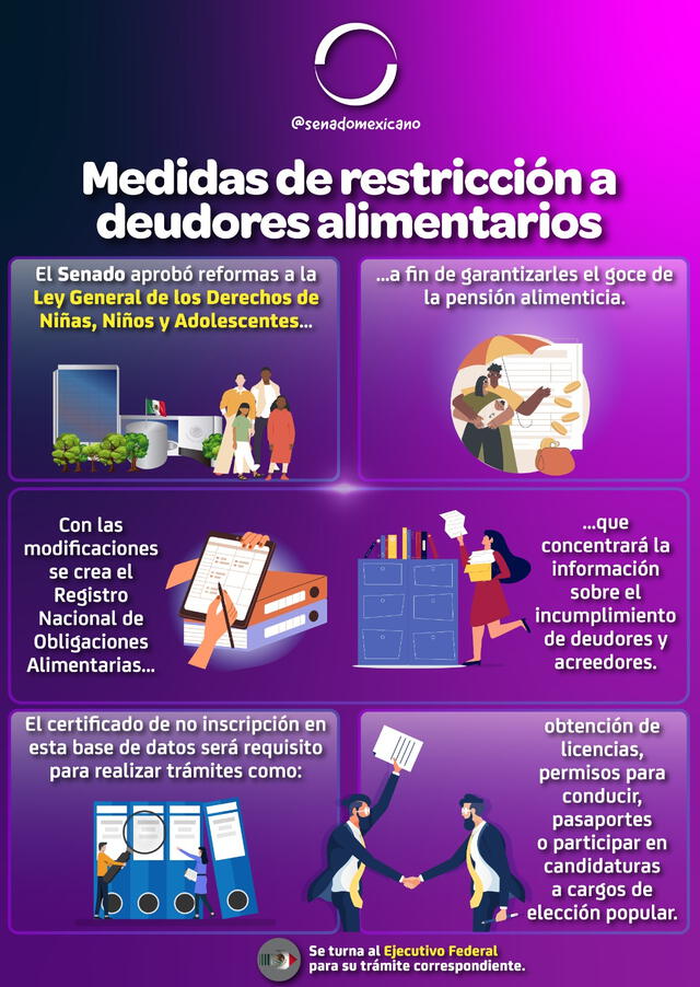  Medidas de restricción a deudores alimentarios. Foto: @senadomexicano / Twitterbr    
