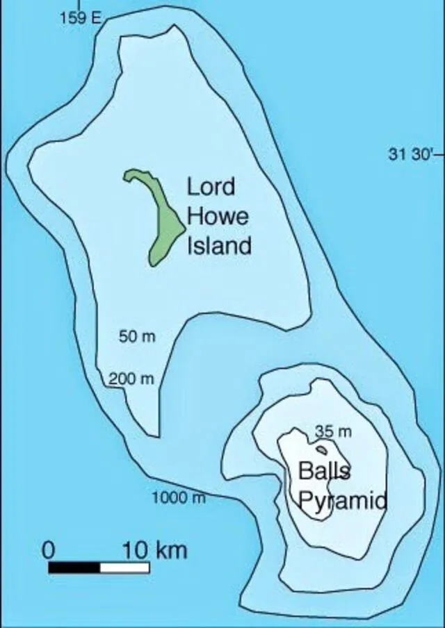  La isla de Lord Howe y la pirámide de Ball es administrada por 175 autoridades locales del estado de Nueva Gales del Sur. Foto: Tes<br>    