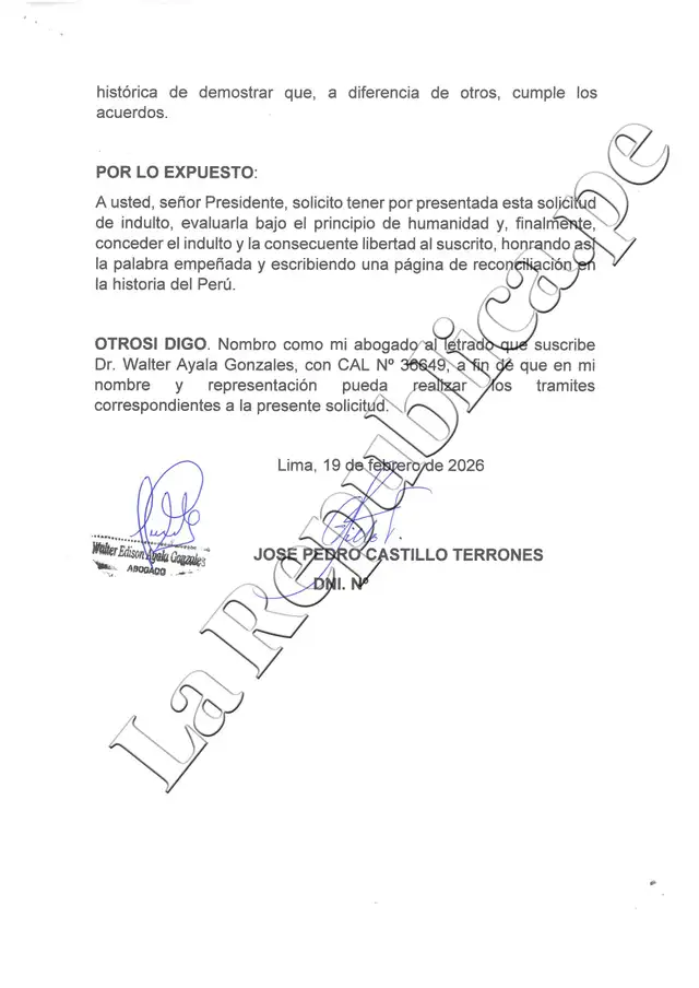 La carta fue presentada por el abogado de Pedro Castillo, el exministro Walter Ayala. Foto: La República.   