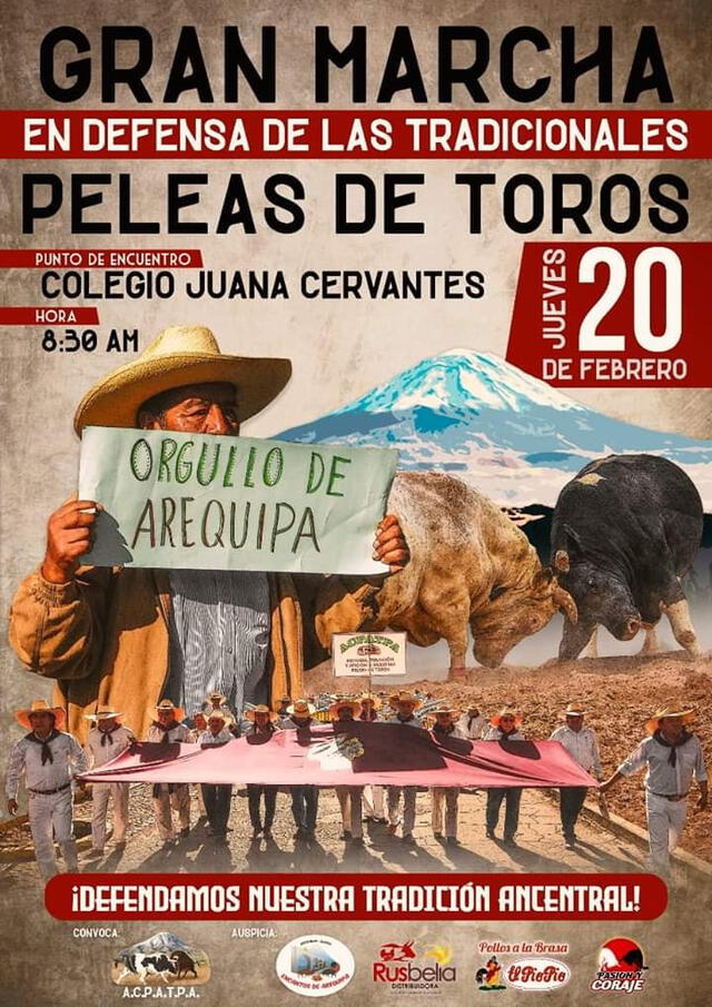 Realizarán marcha para defender peleas de toros en Arequipa.