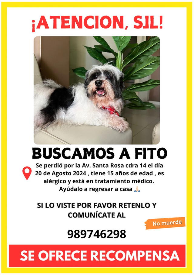 Afiche sobre desaparición de Fito.   