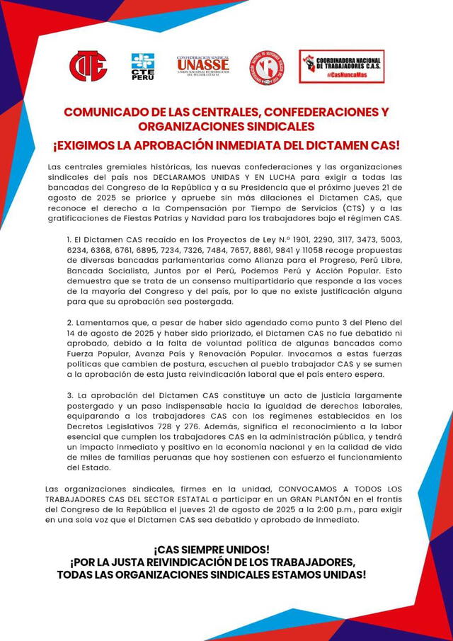Gremios exigieron la aprobación del dictamen de la Comisión de Presupuesto que busca igualar derechos para los trabajadores CAS. Foto: CITE Gremios exigieron la aprobación del dictamen de la Comisión de Presupuesto que busca igualar derechos para los trabajadores CAS. Foto: CITE