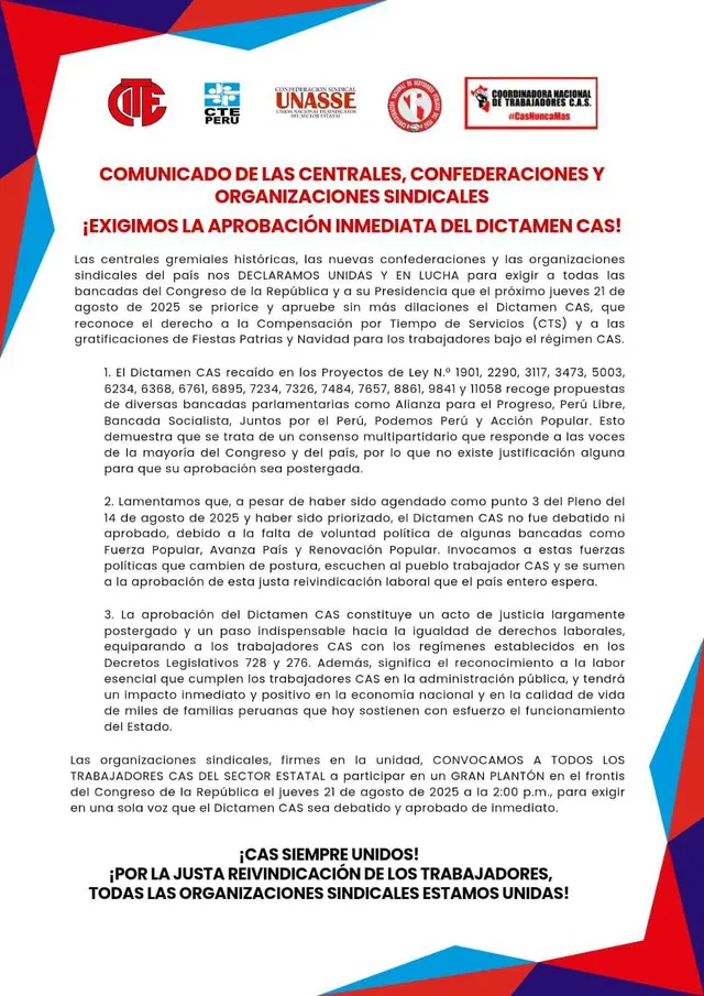 Gremios exigieron la aprobación del dictamen de la Comisión de Presupuesto que busca igualar derechos para los trabajadores CAS. Foto: CITE Gremios exigieron la aprobación del dictamen de la Comisión de Presupuesto que busca igualar derechos para los trabajadores CAS. Foto: CITE