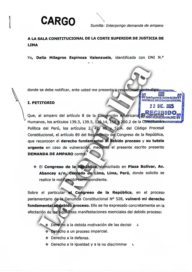  Acción de amparo presentada por Delia Espinoza ante la Sala Constitucional de la Corte Superior de Justicia de Lima   