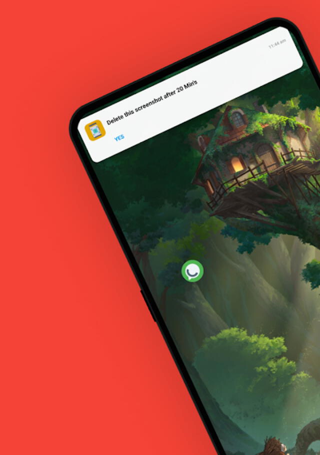 La aplicación te preguntará si el pantallazo se borra o prefieres dejarlo. Foto: Play Store