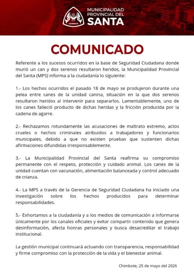 denuncia por maltrato animal denuncia por maltrato animal