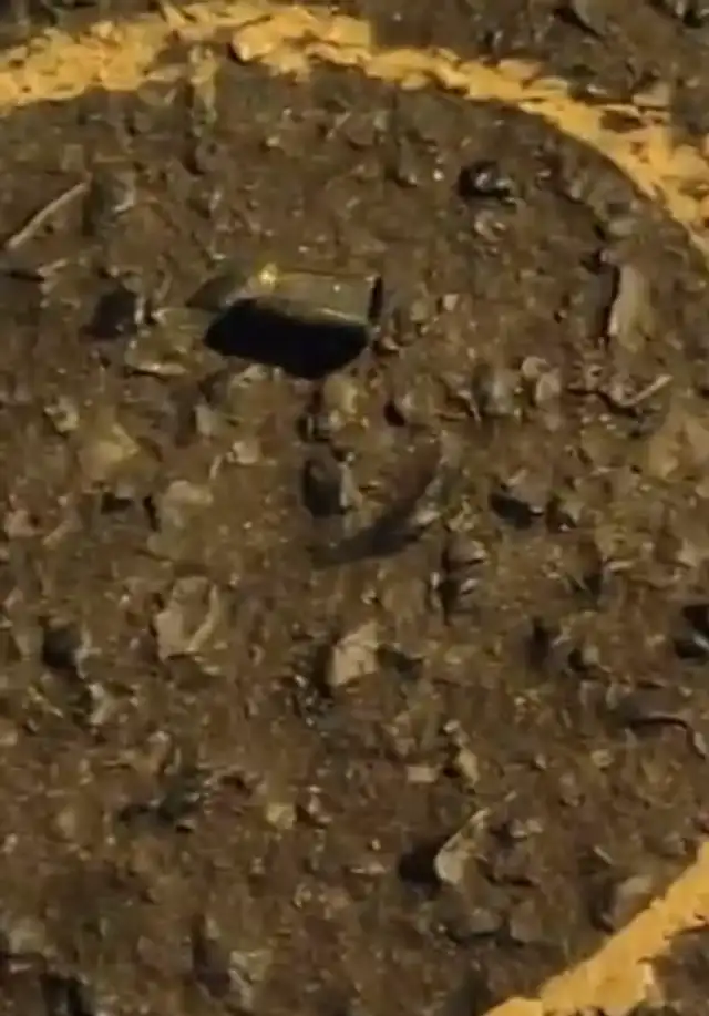 Casquillos hallados tras disparos de los supuestos efectivos policiales vestidos de civiles   