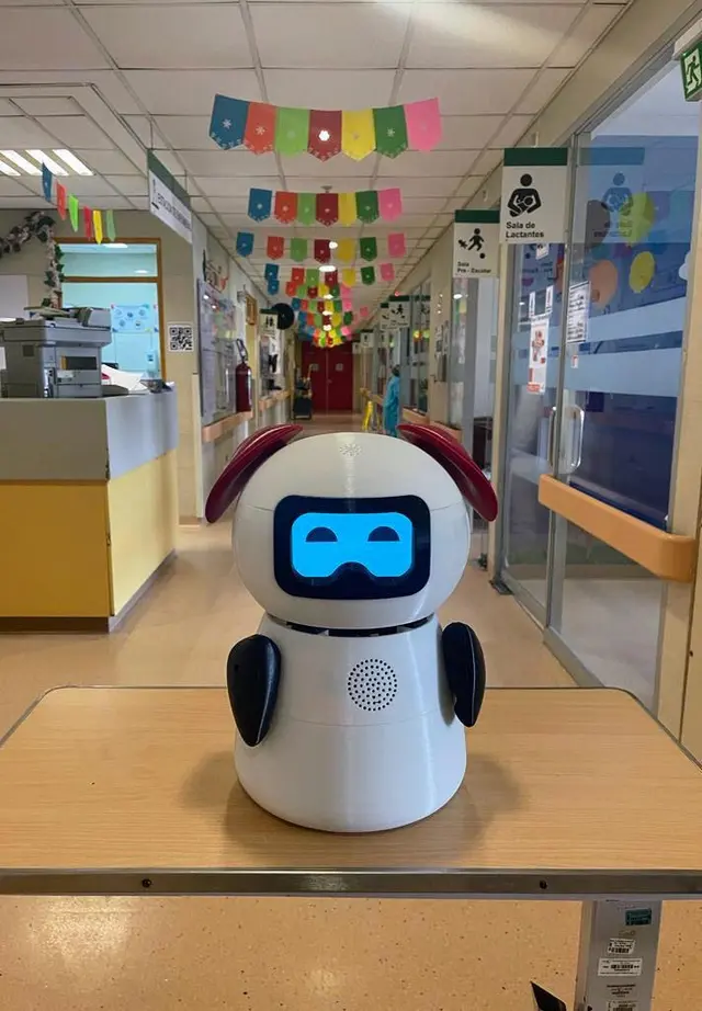 Diseño alternativo de Ropi. Foto: Sebastián Caballa   