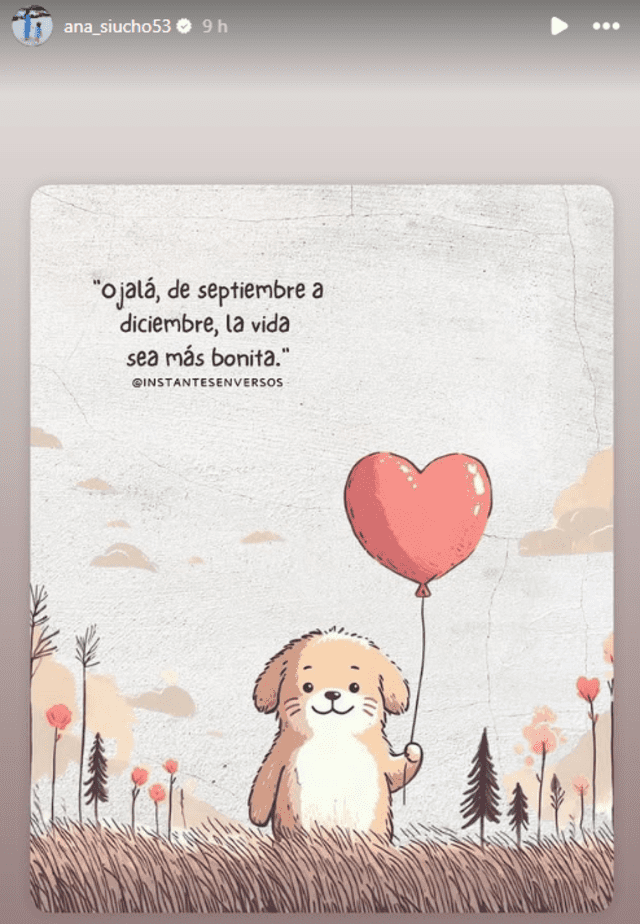 Publicación compartida por Ana Siucho. Foto: Instagram.   