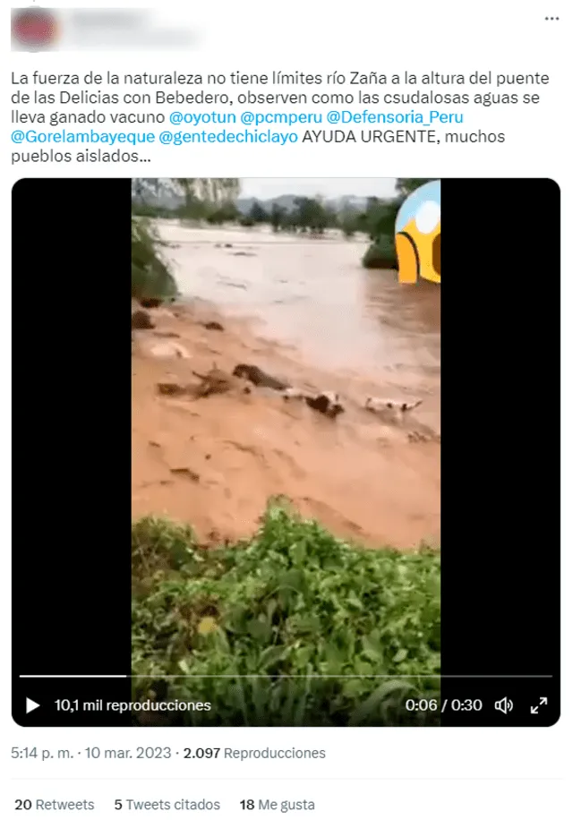  Publicación señala falsamente que el video expone al río Zaña de Lambayeque arrastrando vacunos. Foto: captura de Facebook   