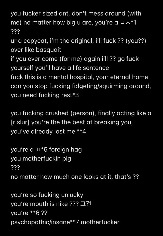 Parte de la traducción realizada por fans de Stray Kids. Foto: @allabthan/Twitter