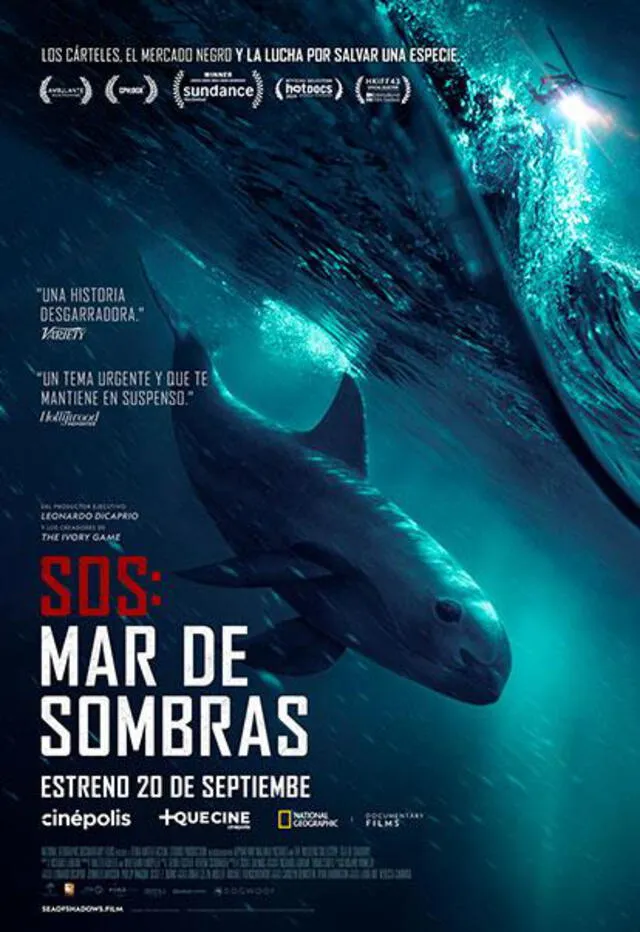 Sea of Shadows es un documental estrenado en 2018. Foto: National Geographic Films.