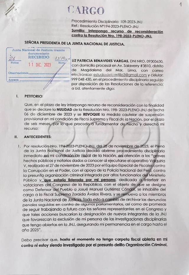 Este es el recurso que presentó Patricia Benavides para revocar la suspensión en su contra. Foto: RPP   