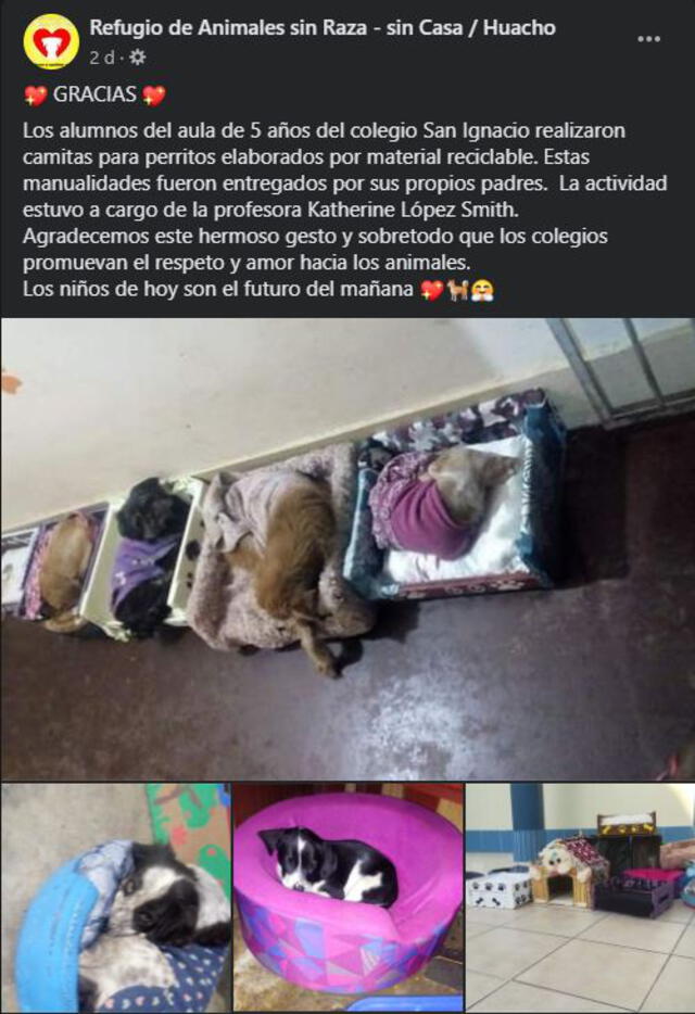 Publicación de Refugio de Animales sin Raza: (Foto: captura Facebook)