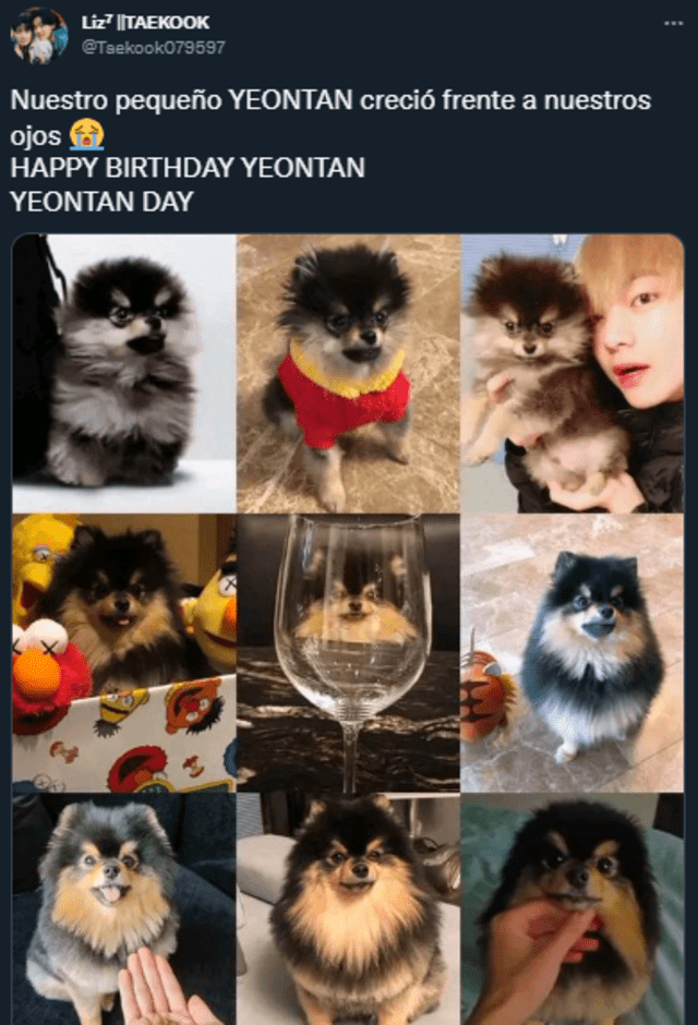 BTS, Yeontan, Tannie, Taehyung