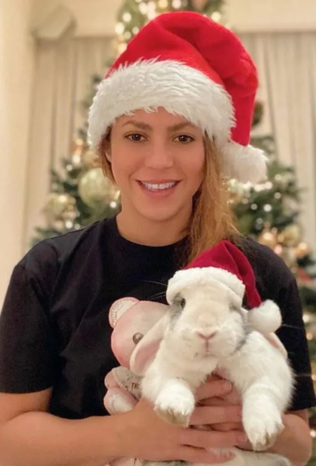 Shakira posó junto a su mascota en Navidad. Foto: Instagram