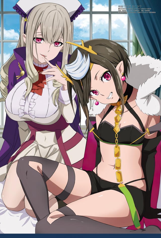 Kumo desu ga, Nani ka? Foto: shousetsuka ni narou