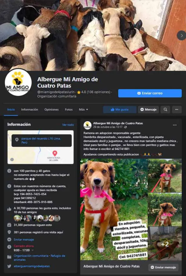 Facebook oficial del Albergue Mi Amigo de Cuatro Patas. Las adopciones también se coordinan por esta red social. Foto: captura de pantalla