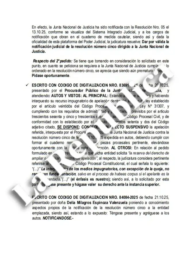 Poder Judicial admite apelación de la JNJ. Foto: La República Poder Judicial admite apelación de la JNJ. Foto: La República