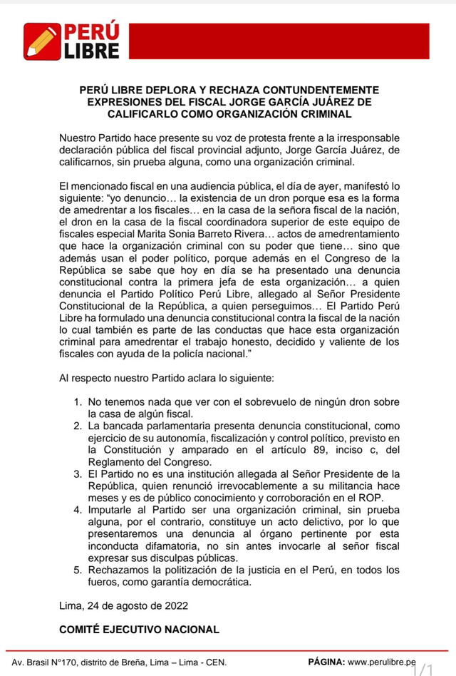 Pronunciamiento de Perú Libre. Foto: documento