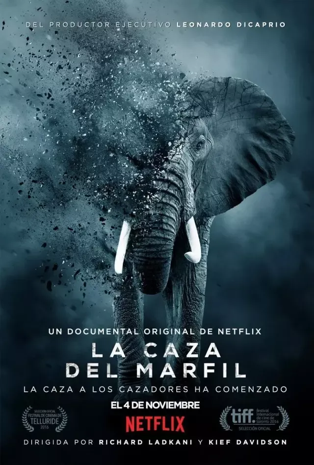 La caza de marfil, documental estrenado en 2016. Foto: Netflix.