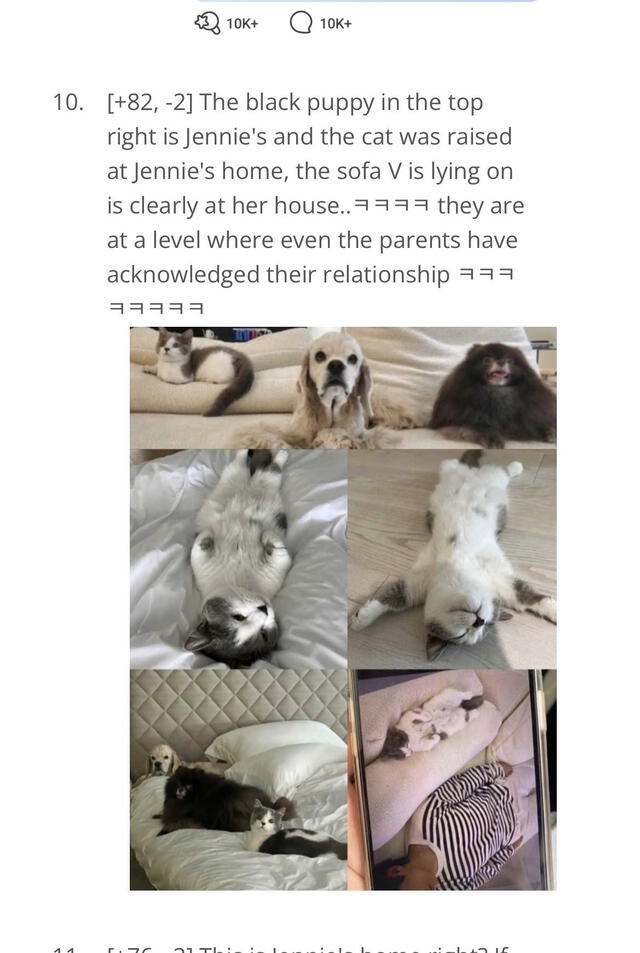 taehyung, jennie, cat