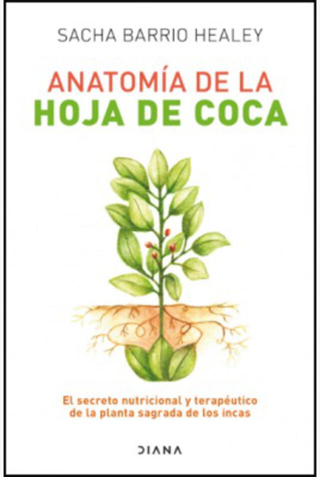 Anatomía de la hoja de coca. El secreto nutricional y terapéutico. Foto: Planeta.