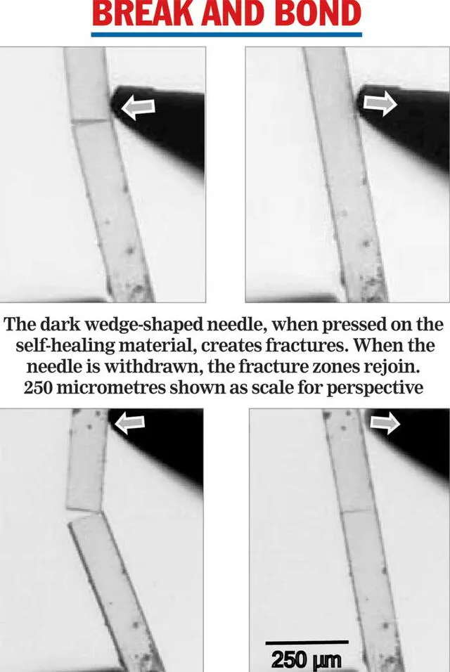 "La aguja oscura con forma de cucharilla crea fracturas en el material autorreparable cuando es presionadoa. Cuando la misma se separada, la zona fracturada se une de nuevo. Escala de perspectiva: 250 micrometros". Foto: Telegraph India
