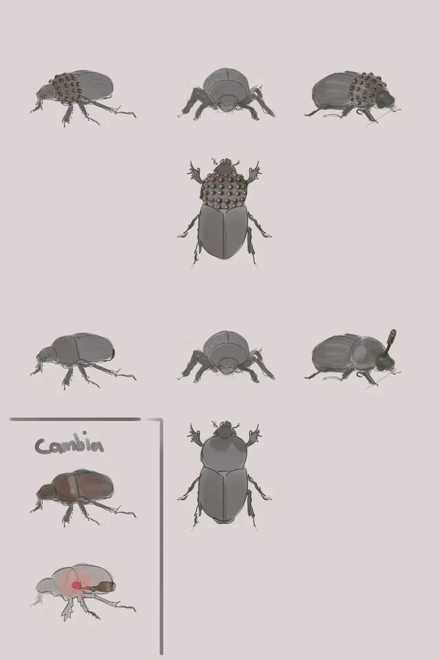 Bocetos de cómo serían los escarabajos espías. Foto: cortesía.