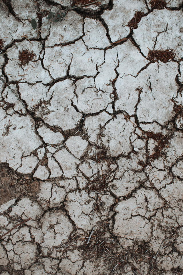La sequías se han vuelto frecuentes en México recientemente. Foto: Pexels   