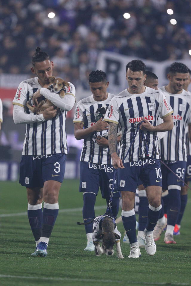 Todos los jugadores de Alianza Lima salieron al campo de juego acompañados de perritos. Foto: La República/Luis Jiménez   
