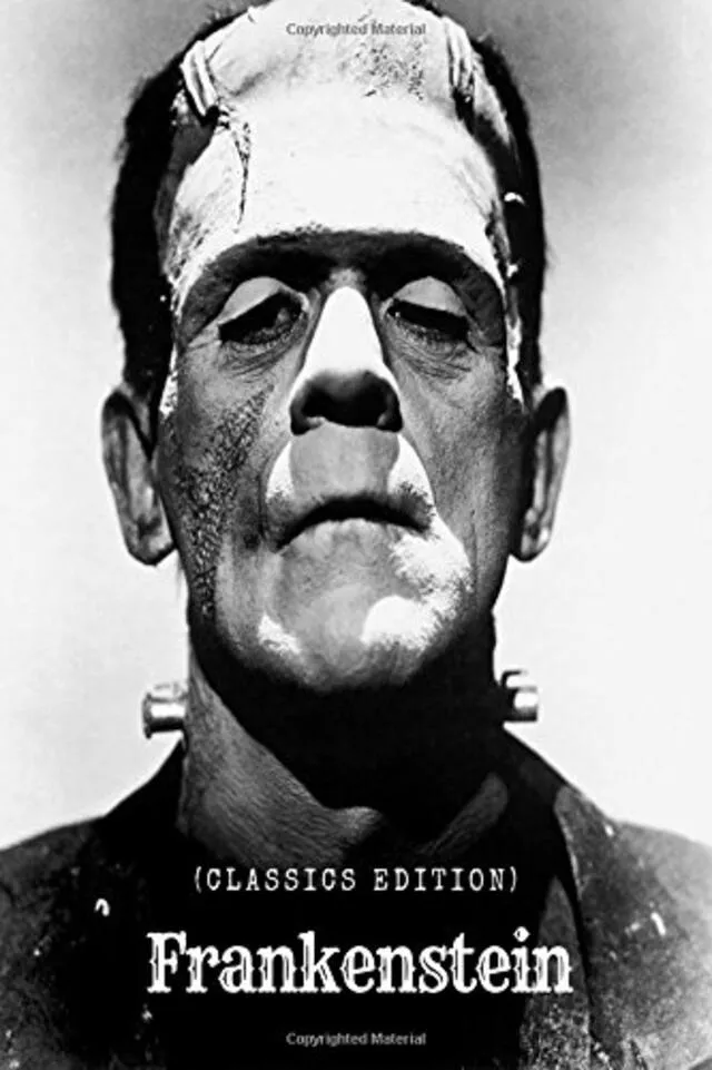 Frankenstein, Mary Shelley, Libro