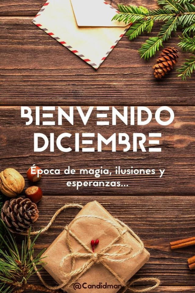 Frases diciembre. Foto: Pinterest   