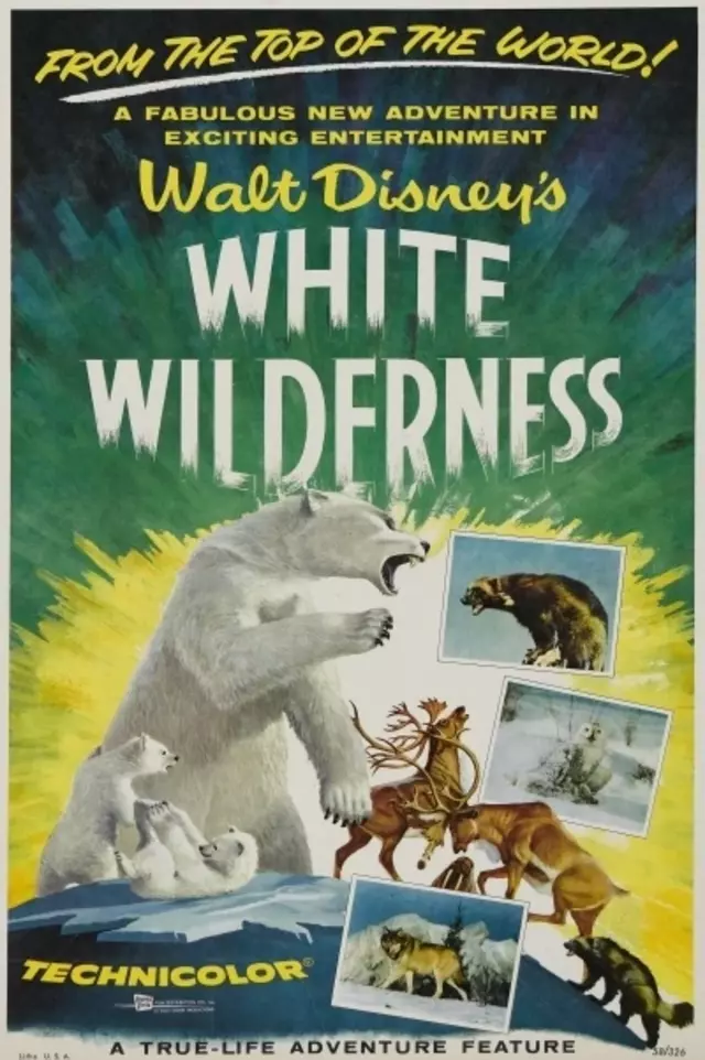 Disney, White Wilderness, Lemmings