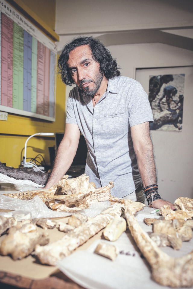  Proyecto. Rodolfo Salas, paleontólogo del museo, propuso el proyecto a National Geographic y logró los fondos para la expedición. Foto: John Reyes / La República   