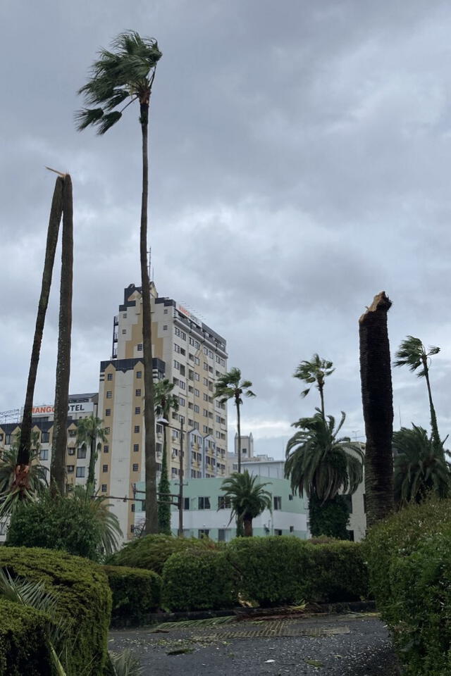 El tifón ha provocado también el cierre de múltiples tramos de autopistas, y ha dejado sin luz a 203.000 hogares en siete prefecturas de Kyushu. Foto: AFP   