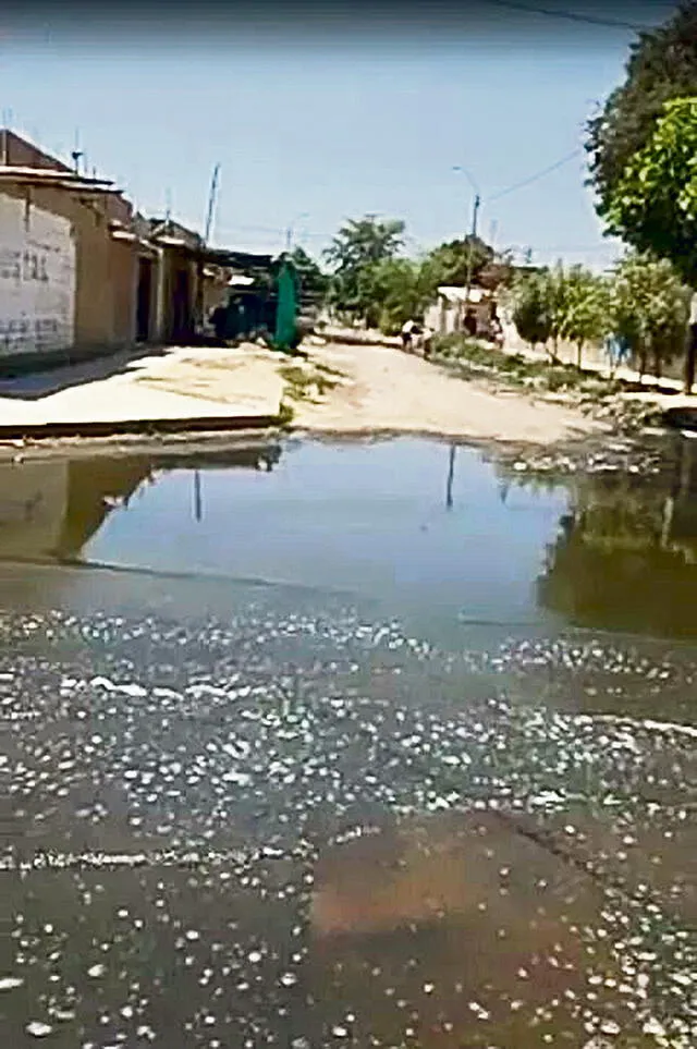 Estudiantes de colegio de Sullana conviven en medio de heces y aguas pestilentes