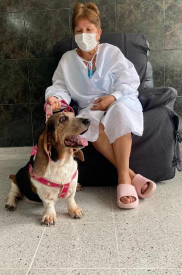 Otra paciente que recibe la visita de su perro. Foto: Hospital Marco Fidel Suárez
