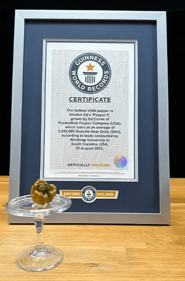 El Pepper X fue reconocido por el Guinness World Records como el ají más picante del mundo, con lo que superó al Carolina Reapper. Foto: Guinness World Records.   