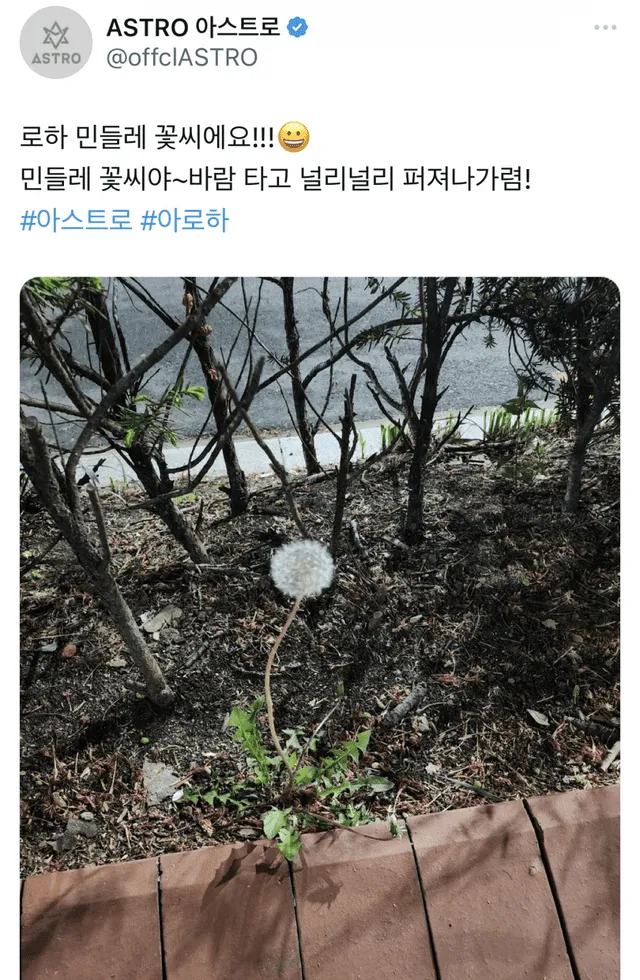 El último mensaje de Moonbin en Twitter. Foto: All K-Pop   