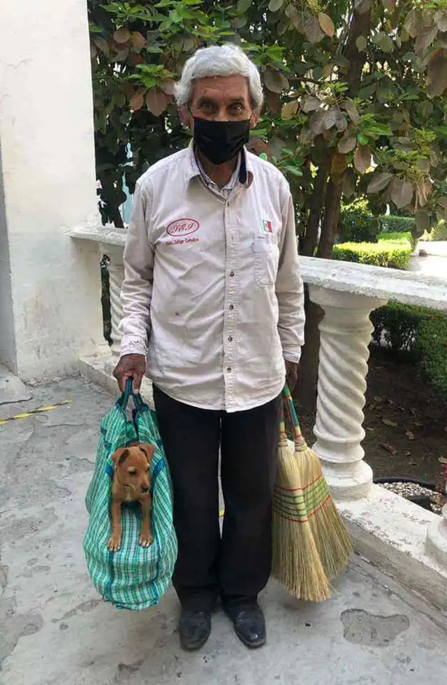 Adulto mayor lleva a su cachorro a vender escobas para no dejarlo solo