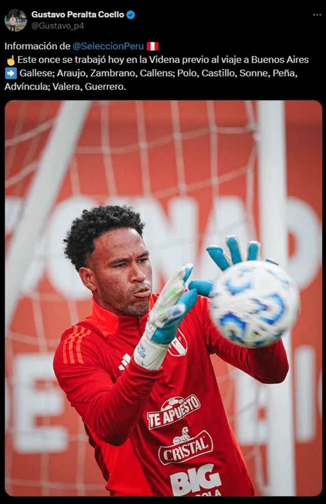  Pedro Gallese regresará al 11 titular ante Argentina. Foto: captura de X/Gustavo Peralta   