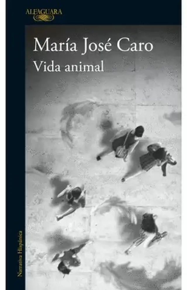 "Vida animal" (2024). Imagen: Difusión.   