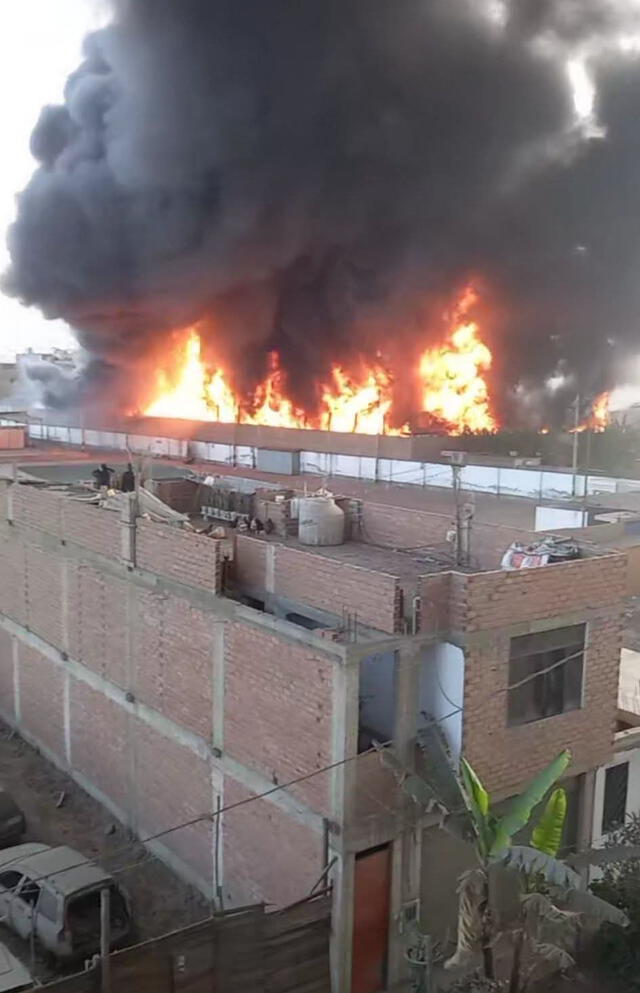 Casas aledañas al incendio en peligro. Foto: Difusión   