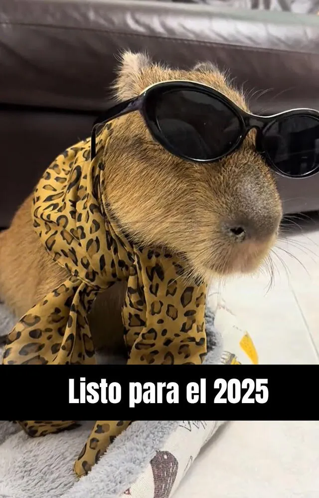 memes | Año Nuevo | 2025 | viral | redes sociales | WhatsApp | humor 