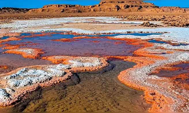 Uno de los lugares más calientes del mundo alberga vida: así es el desierto patrimonio de la humanidad cuyo suelo superó los 80 °C