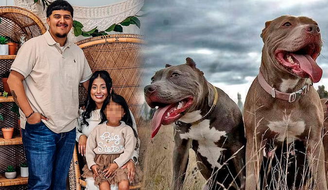 Niña de 4 años atacada por perros pitbull en Indiana